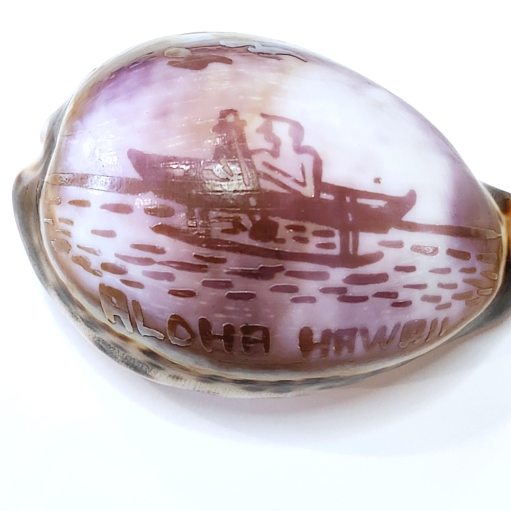 Sea Shell 2"-3" Carved Etched Natural Purple ALOHA HAWAII